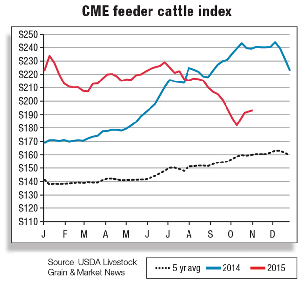 CME feeder cattle index