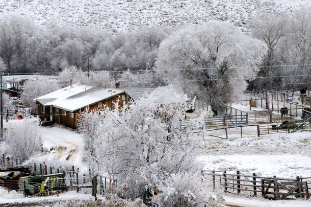 frosty morning