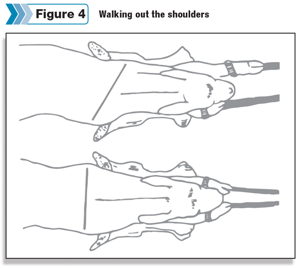 Walking out the shoulders