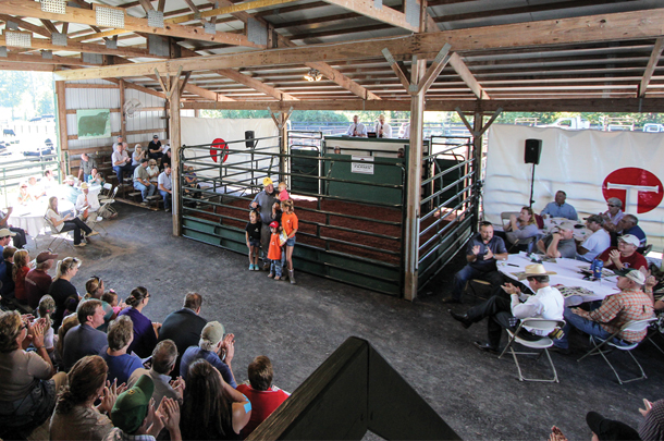 Six generations with buyers at the female sale