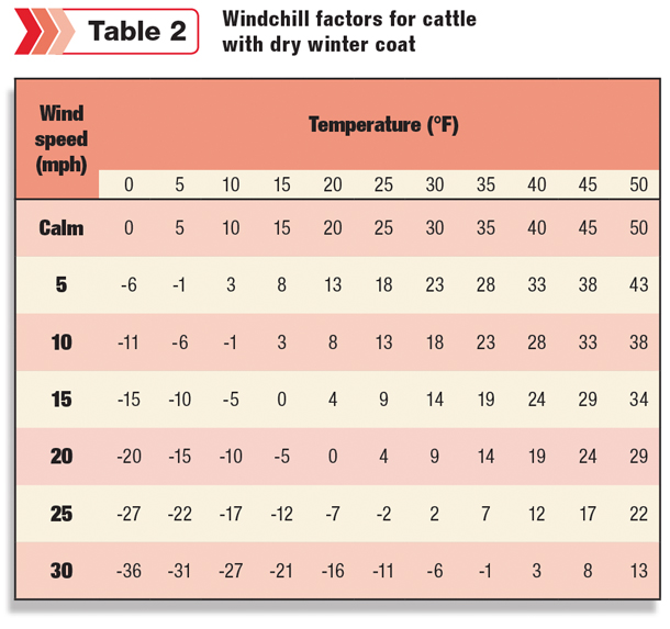 Windchill factors for cattle with dry winter coat