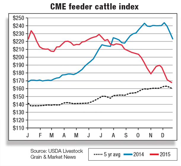 CME feeder cattle index