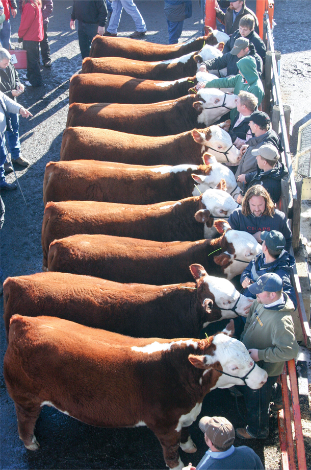 National Western Stock Show
