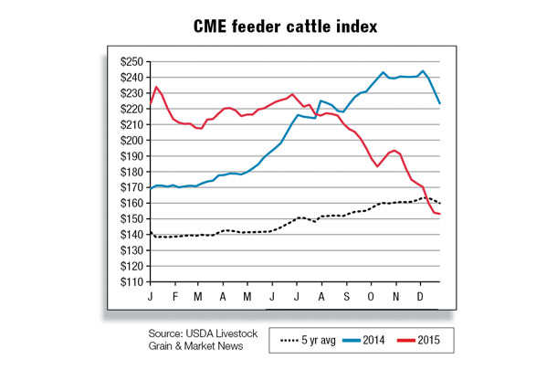 CME feeder cattle index