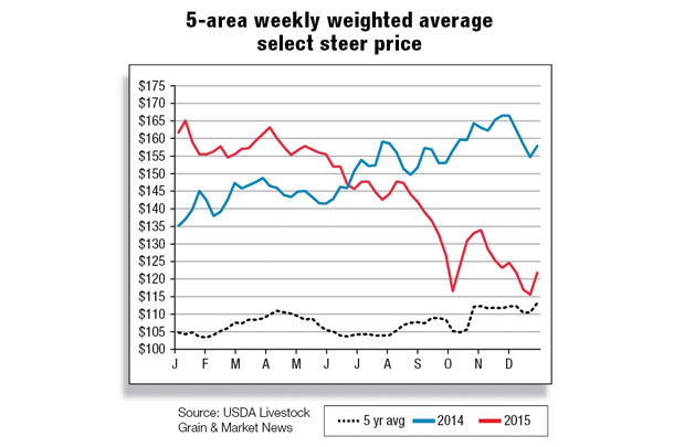 5-area weekly weighted average select steer price