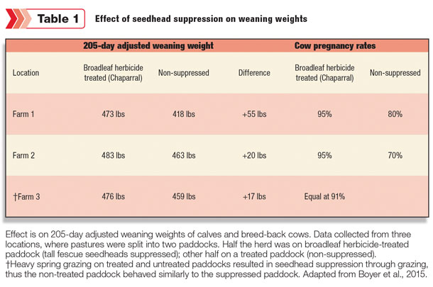 Effect of seedhead suppression on weaning weights