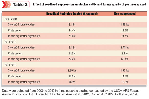 effect of seedhead suppression on stocker cattle