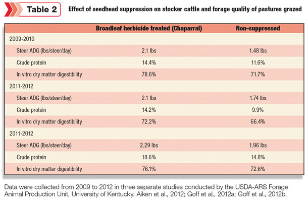 effect of seedhead suppression on stocker cattle
