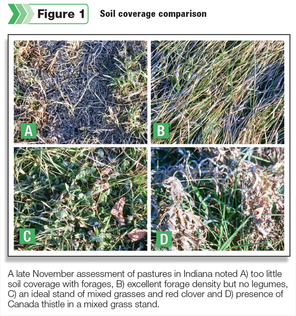 Soil coverage comparison