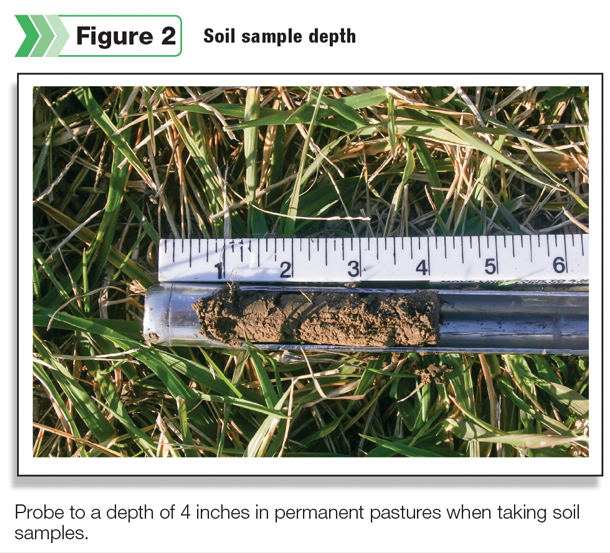 Soil sample depth