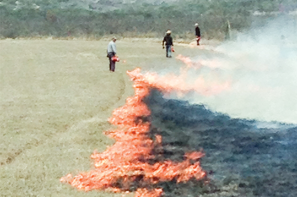conservation Fire Team implements prescribed burn