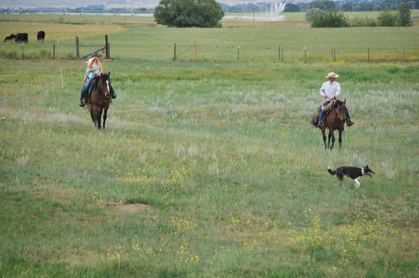 Whitehurst family on horseback