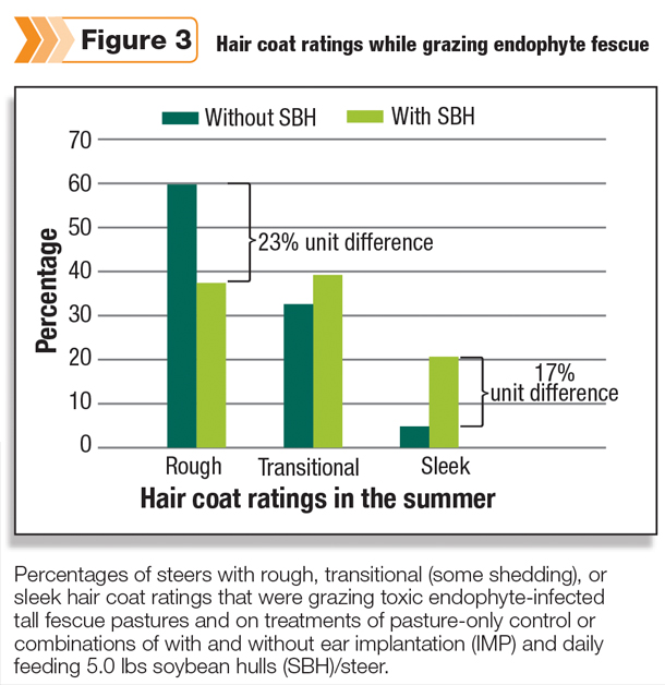 Hair coat ratings while grazing endophy to fescue