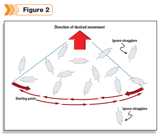 Direction of desired movement