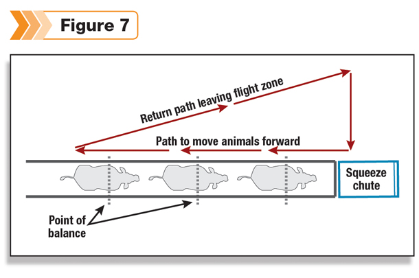 Path to move animals forward