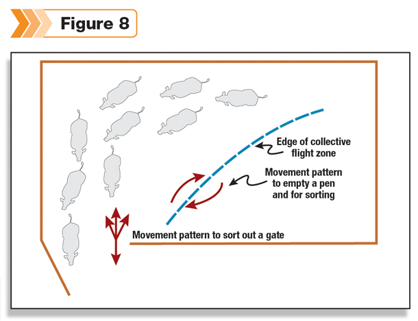 Movement pattern to sort out a gate