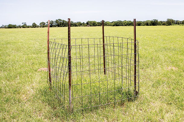 Grazing Cages
