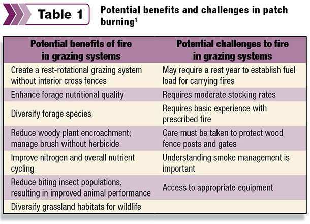 Potential benefits and challenges in patch burning