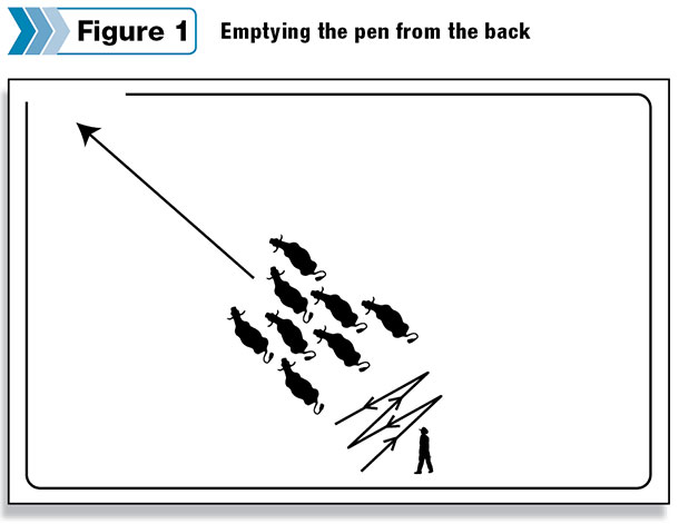 Emptying the pen from the back
