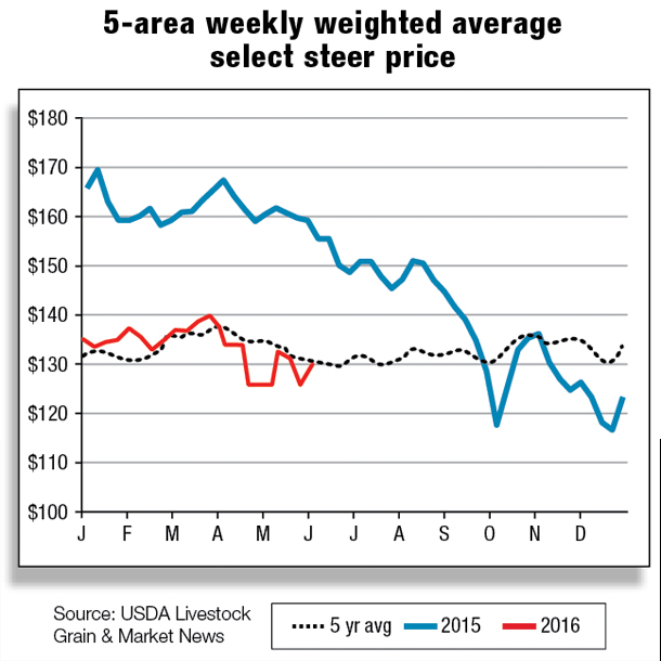 5-area weekly weighted average select steer price