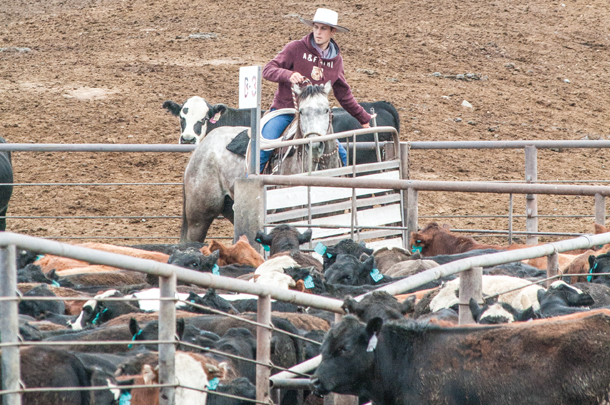Workers at feedlots and ag facilities should have specific job descriptions