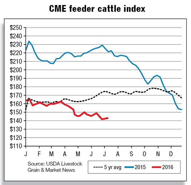 CME feeder cattle index
