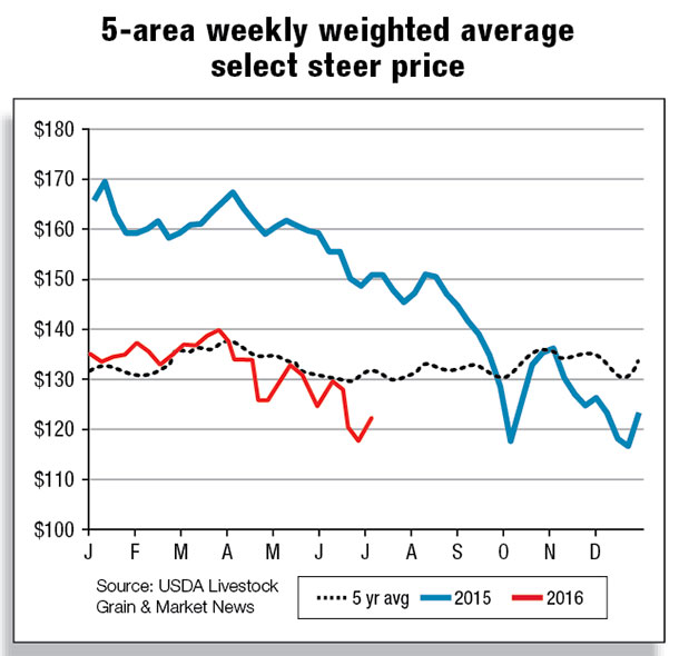 5-area weekly weighted average select steer price