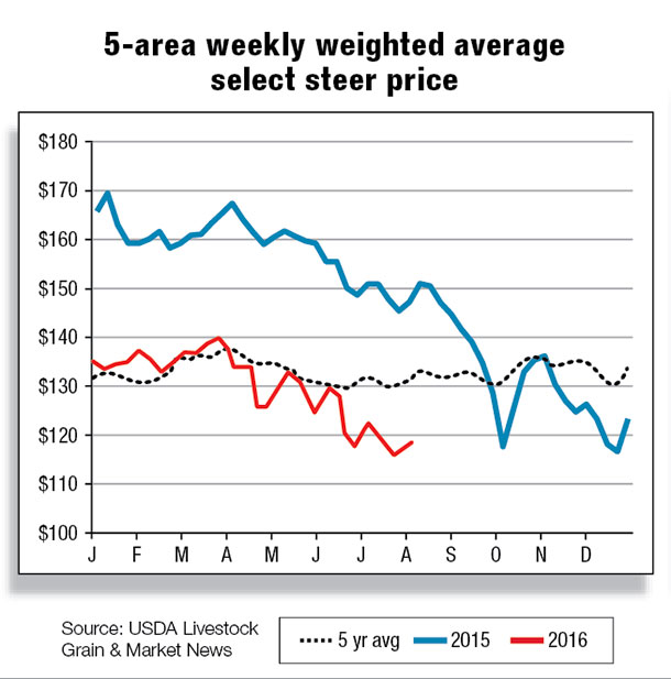5-area weekly weighted average select steer price