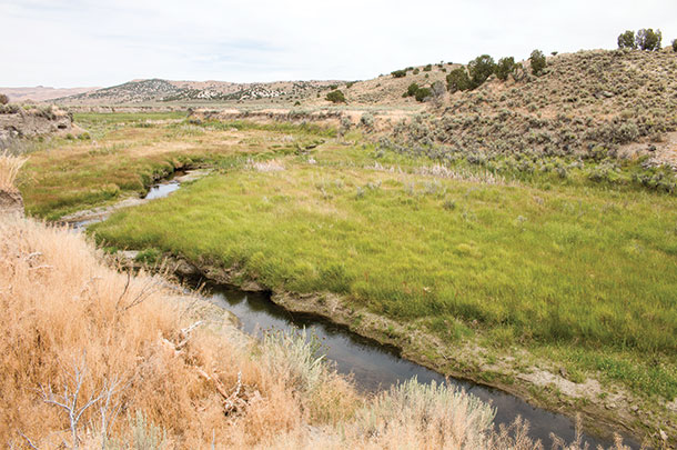 Susie Creek after the project