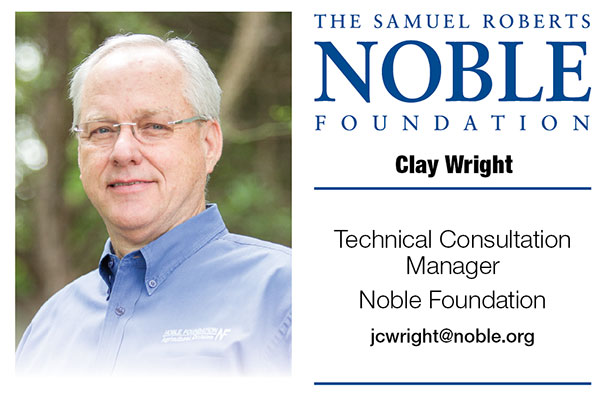 Clay Wright