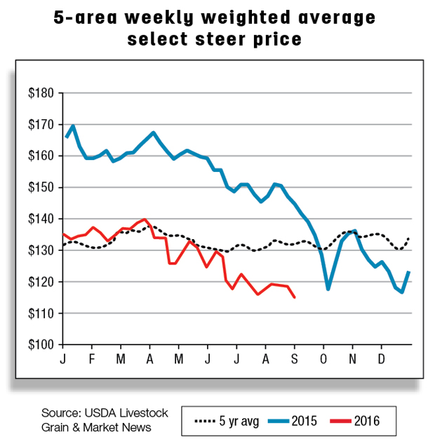 5-area weekly weighted average select steer price