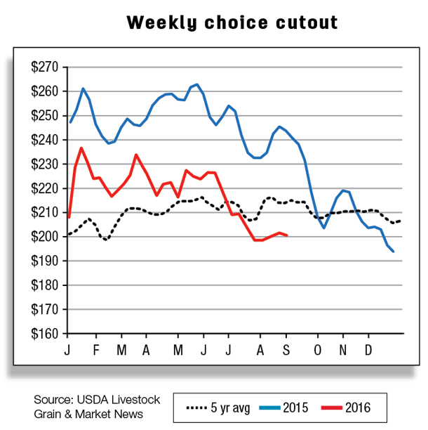 Weekly choice cutout