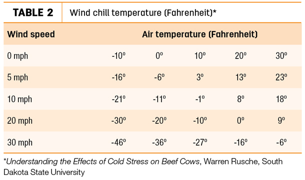 Wind chill temperature 