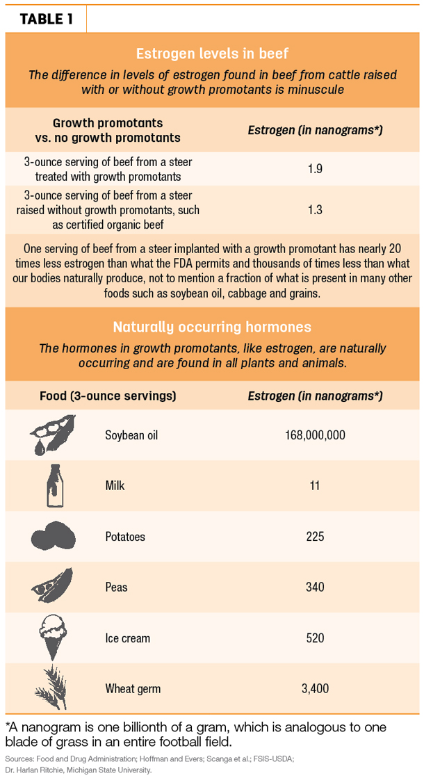 Estrogen levels in beef