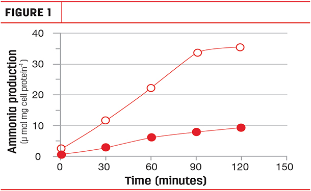 ammonia graph