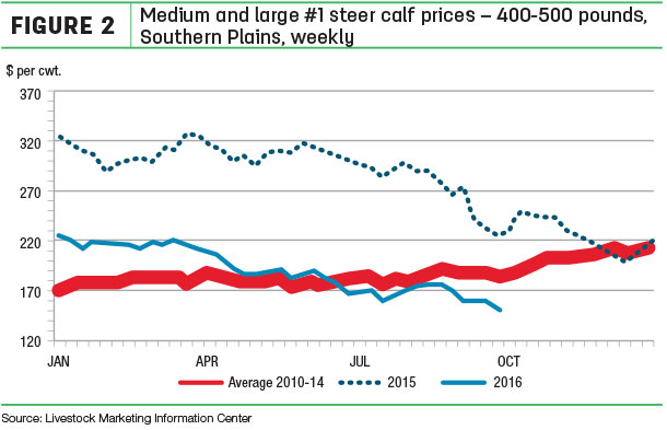steer calf prices