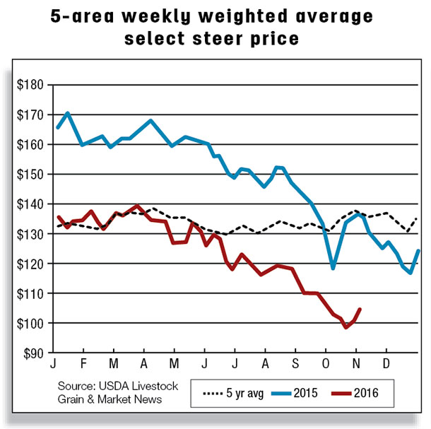 5-area weekly weighted average select steer price