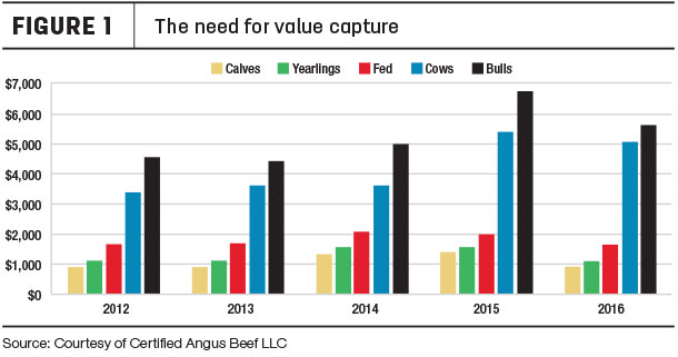 beef sales chart