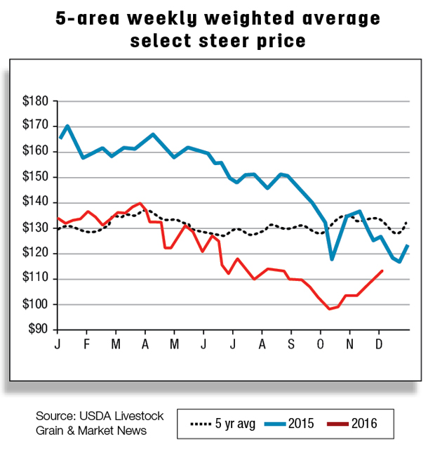 5-area weekly weifhted average select steer price
