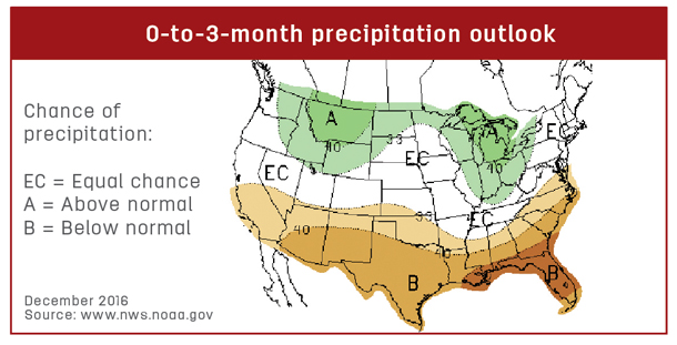 roundup precipitation