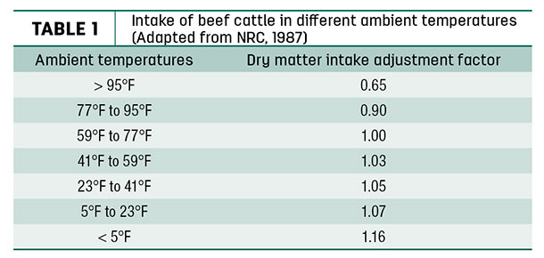Intake of veef cattle in different ambient temperatures