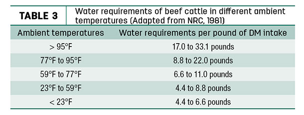 Water requirements of beef cattle in different ambient temperatures