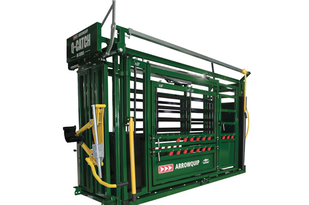 cattle chute