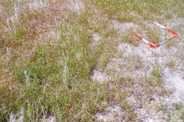 Plots untreated on the left and treated on the right