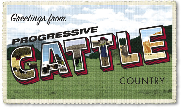 cattle country