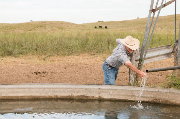 Dave Hamilton has developed a number of windmills and wells to serve the cattle 