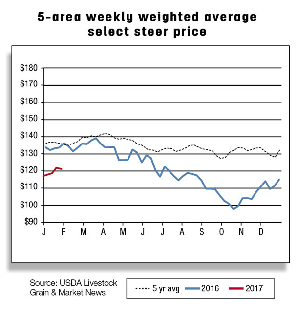 5 area weekly weighted average select steer price