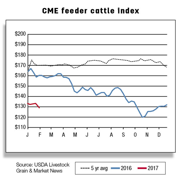 CME feeder cattle index