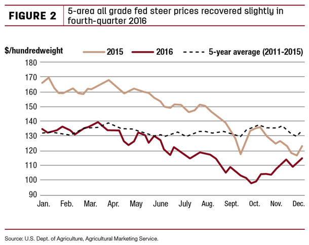 5-area all grade fed steer prices recovered slightly in fourth-quarter 2016
