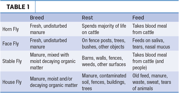 Types of flies table